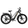 Fiido Titan - Elektrische Touringfiets - Grijs - 26x4 inch - Accu 696Wh (48V) - 250W (55Nm) Mivice Motor - 9 Versnellingen - Hydraulische Remmen - AE-trading