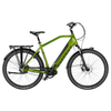 Freebike Brooklyn Elektrische Fiets - Glossy Green - Heren 61cm - AE-trading