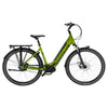 Freebike Brooklyn Mono Elektrische Fiets - Glossy Green - Dames 51cm - AE-trading