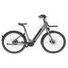 Freebike Flushing Elektrische Fiets - Antraciet - Dames 56cm - AE-trading