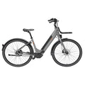 Freebike Flushing Elektrische Fiets - Antraciet - Dames 56cm - AE-trading