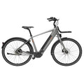 Freebike Flushing Elektrische Fiets - Antraciet - Heren 61cm - AE-trading