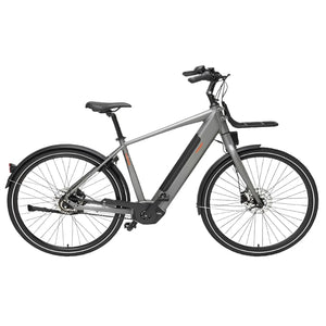 Freebike Flushing Elektrische Fiets - Antraciet - Heren 61cm - AE-trading