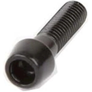 Ergotec stuurpenbout inbus M5 x 20 zwart - AE-trading