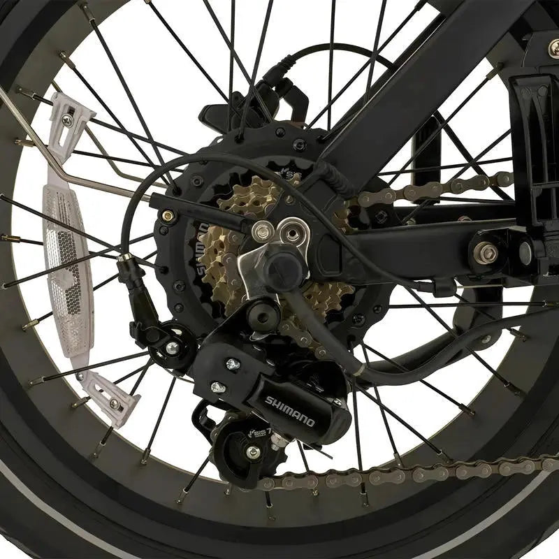 KNAAP LON - Fatbike - Zwart - AE-trading