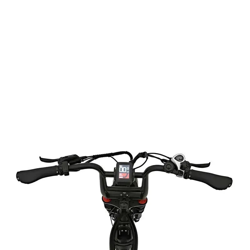 Knaap RTD X - Fatbike - Zwart - AE-trading