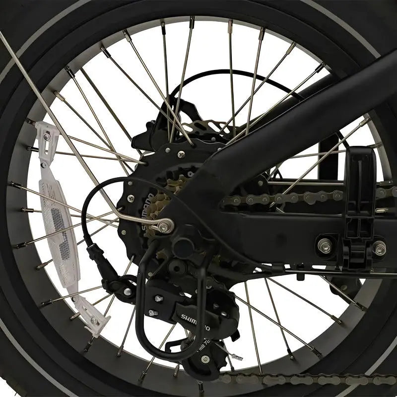 Knaap RTD X - Fatbike - Zwart - AE-trading