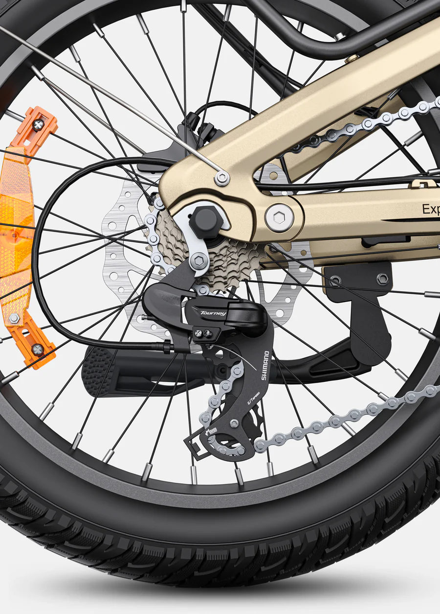 Engwe L20 3.0 Pro Fatbike Vouwfiets Elektrisch - Zwart - AE-trading