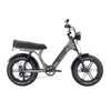 Diablo Ape Ryder MD10 - Fatbike - Nardo Grijs - 20x4.5 inch - Accu 696Wh (48V, 14.5Ah) - 250W Achterwielmotor (50Nm) - Shimano 7 Versnellingen - Hydraulische Remmen - AE-trading