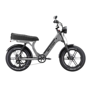Diablo Ape Ryder MD10 - Fatbike - Nardo Grijs - 20x4.5 inch - Accu 696Wh (48V, 14.5Ah) - 250W Achterwielmotor (50Nm) - Shimano 7 Versnellingen - Hydraulische Remmen - AE-trading