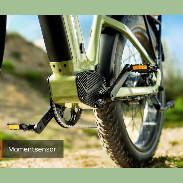 Mokwheel Basalt ST 2.0 – Groen – Elektrische Fatbike – 26x4.0 banden – 940Wh accu – 250W motor – Hydraulische schijfremmen - AE-trading
