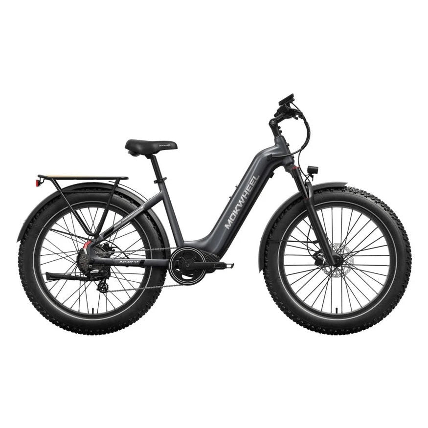 Mokwheel Basalt ST 2.0 Fatbike – Steengrijs - AE-trading