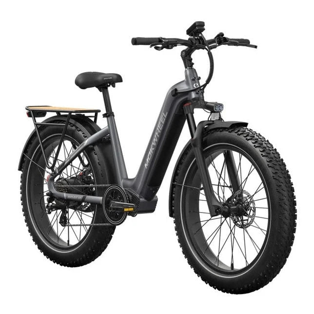 Mokwheel Basalt ST 2.0 Fatbike – Steengrijs - AE-trading