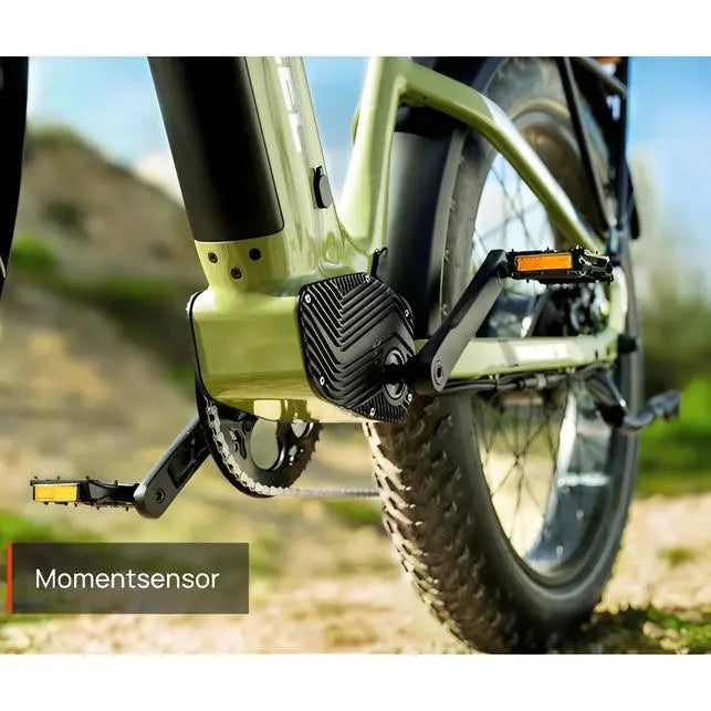Mokwheel Basalt Mountainbike Fatbike – Asgrijs – 940Wh - AE-trading