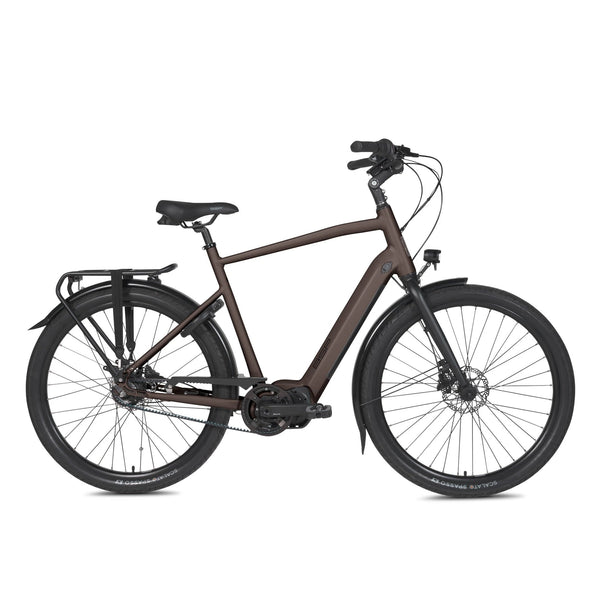 Musa S Men Dark Oak - AE-trading