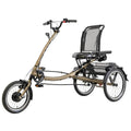 Pfautec Scootertrike FM – Elektrische Driewieler – 324Wh – Mat Brons/Goud - AE-trading