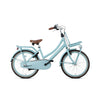 Popal Daily Dutch Basic+ 22 Inch Kinderfiets Mat Blauw Stalen Frame met Bagagedragers - AE-trading