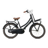 Popal Daily Dutch Basic+ 22 Inch Kinderfiets Mat Zwart Met Stalen Frame En Bagagedrager - AE-trading