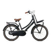 Popal Daily Dutch Basic+ 22 Inch Kinderfiets Mat Zwart Met Stalen Frame En Bagagedrager - AE-trading
