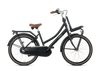 Popal Daily Dutch Basic+ 24 Inch Mat Zwart Reflecterend Frame Fiets - AE-trading