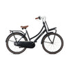 Popal Daily Dutch Basic+ 26 Inch Mat Zwart Transportfiets Met LED-Verlichting En Drie Versnellingen - AE-trading