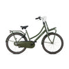 Popal Daily Dutch Basic+ 26 Inch Transportfiets Legergroen Met LED-Verlichting en Drie Versnellingen - AE-trading