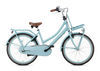 Popal Daily Dutch Basic+ Kinderfiets 24 Inch Stalen Frame Mat Blauw - AE-trading