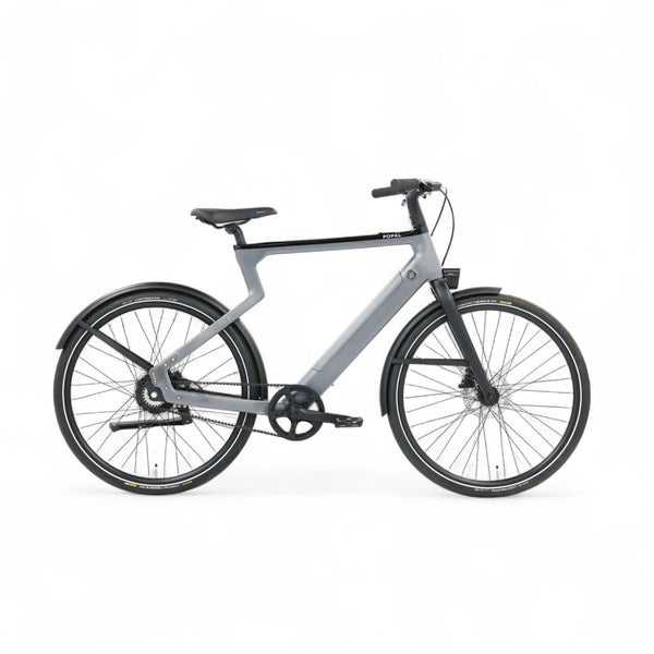 Popal Era 2025 - Elektrische Stadsfiets - Zilver - 28 inch - Belt Drive - Accu 504Wh (36V, 14Ah) - 250W (40Nm) Bafang Achterwielmotor - Hydraulische Remmen - AE-trading