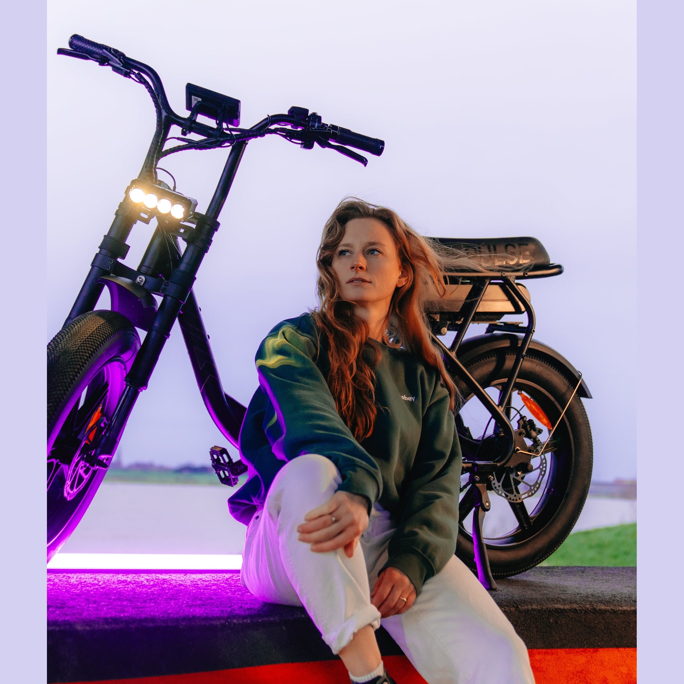Pulse Fatbike S6 GO