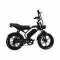 QmWheel S20 Pro – Fatbike – Zwart – Hydraulische Remmen - AE-trading