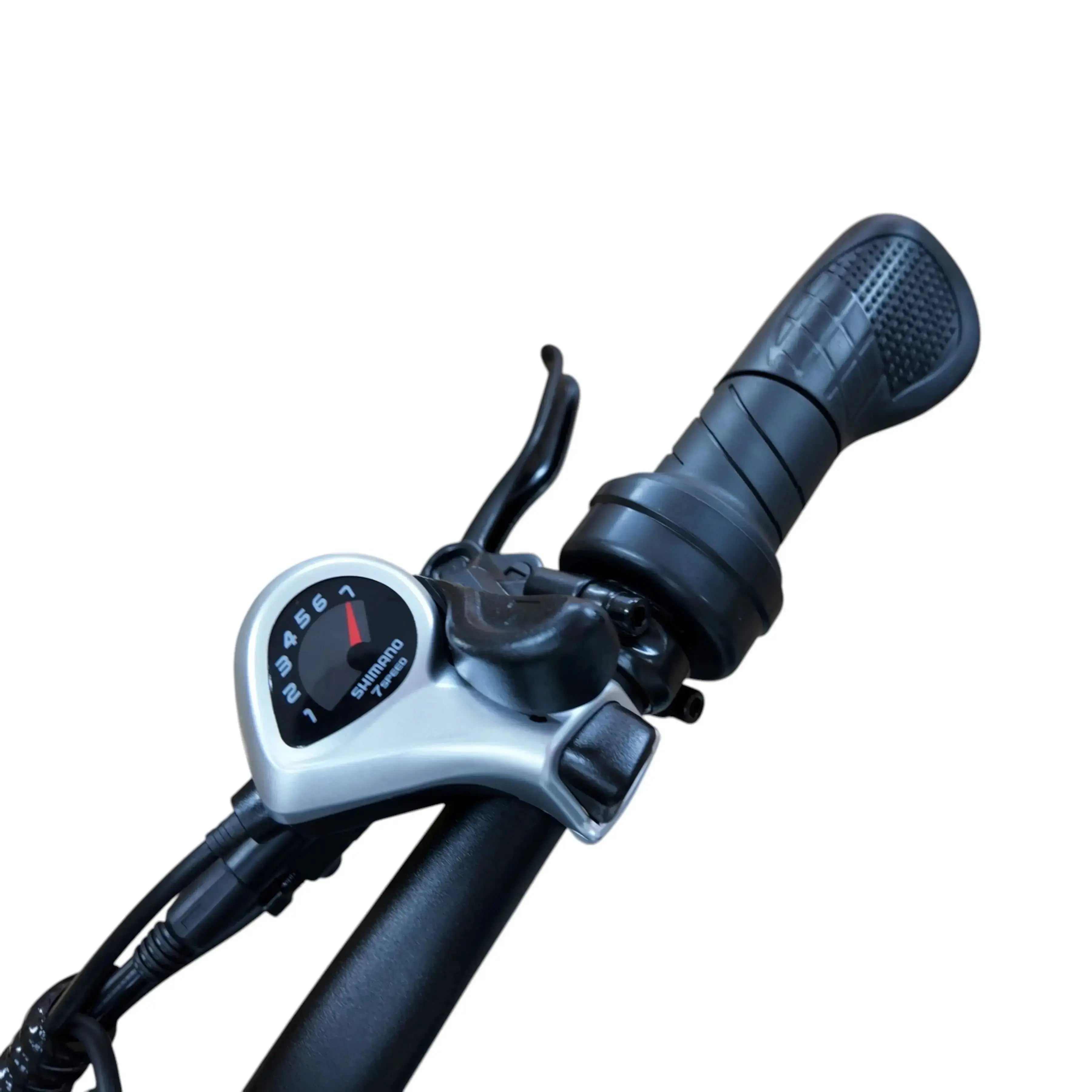 QmWheel S20 Pro – Fatbike – Zwart – Hydraulische Remmen - AE-trading