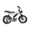 QmWheel S20 Pro Fatbike - Nardo Grijs - AE-trading