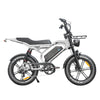 QmWheel S20 Pro Fatbike - Nardo Grijs - Inclusief Accessoires - AE-trading