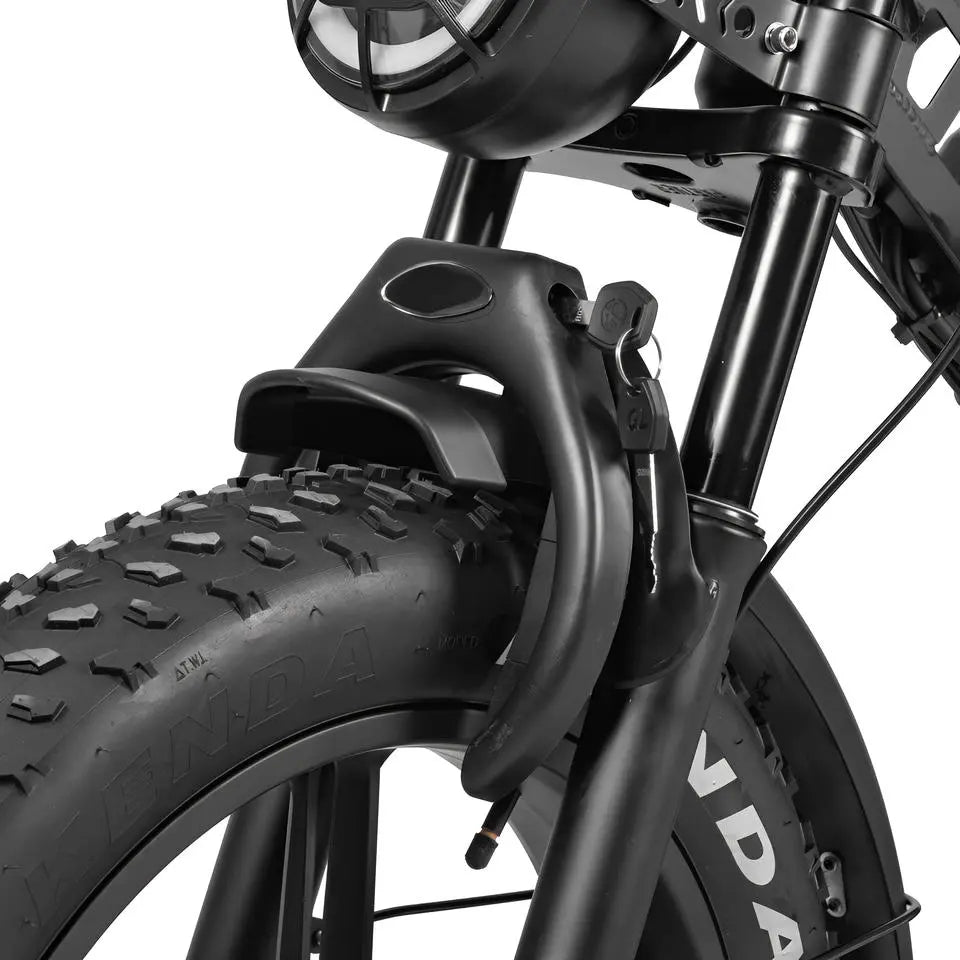 QmWheel V20 Limited Fatbike - Zwart - AE-trading