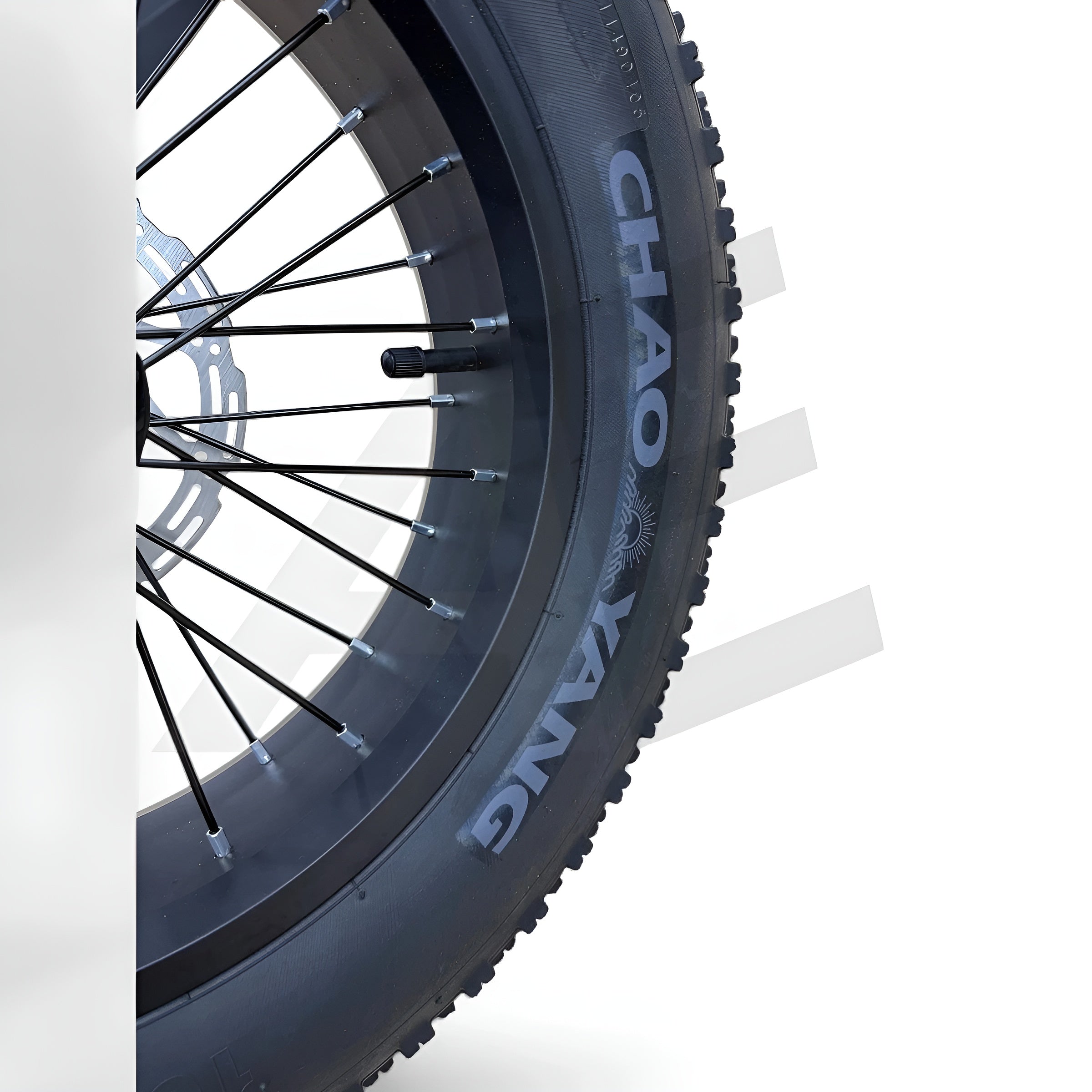 QmWheel V20 Mini Fatbike Kinderfatbike met Hydraulische Remmen - Zwart - AE-trading