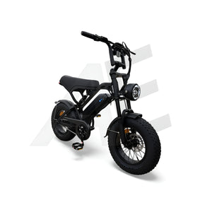 QmWheel V20 Mini Fatbike Kinderfatbike met Hydraulische Remmen - Zwart - AE-trading