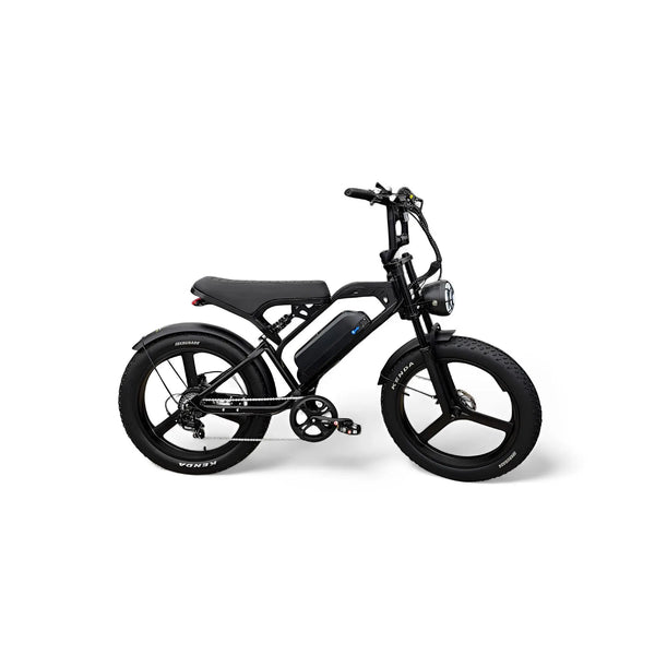 QmWheel V20 Pro Max 24inch Fatbike – Zwart – 250W – Hydraulische Remmen - AE-trading
