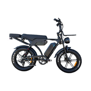 QmWheel V29 Pro Fatbike – Zwart – Dubbele Accu - AE-trading