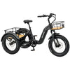 REVOM Mover T2 – 720Wh – Elektrische Driewieler Cargo E-bike Zwart - AE-trading