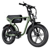 RSE Fatbike - Groen - AE-trading