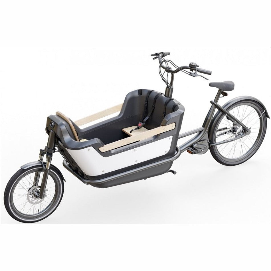 Royal Cargo Bike 2W Premium – Groen – Elektrische Bakfiets – 630Wh