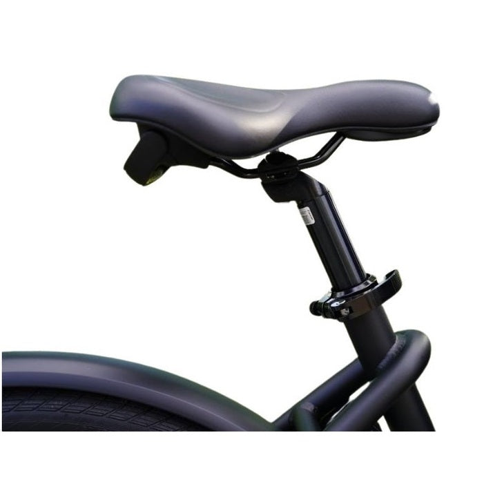 Royal Cargo Bike 2W Premium – Groen – Elektrische Bakfiets – 630Wh