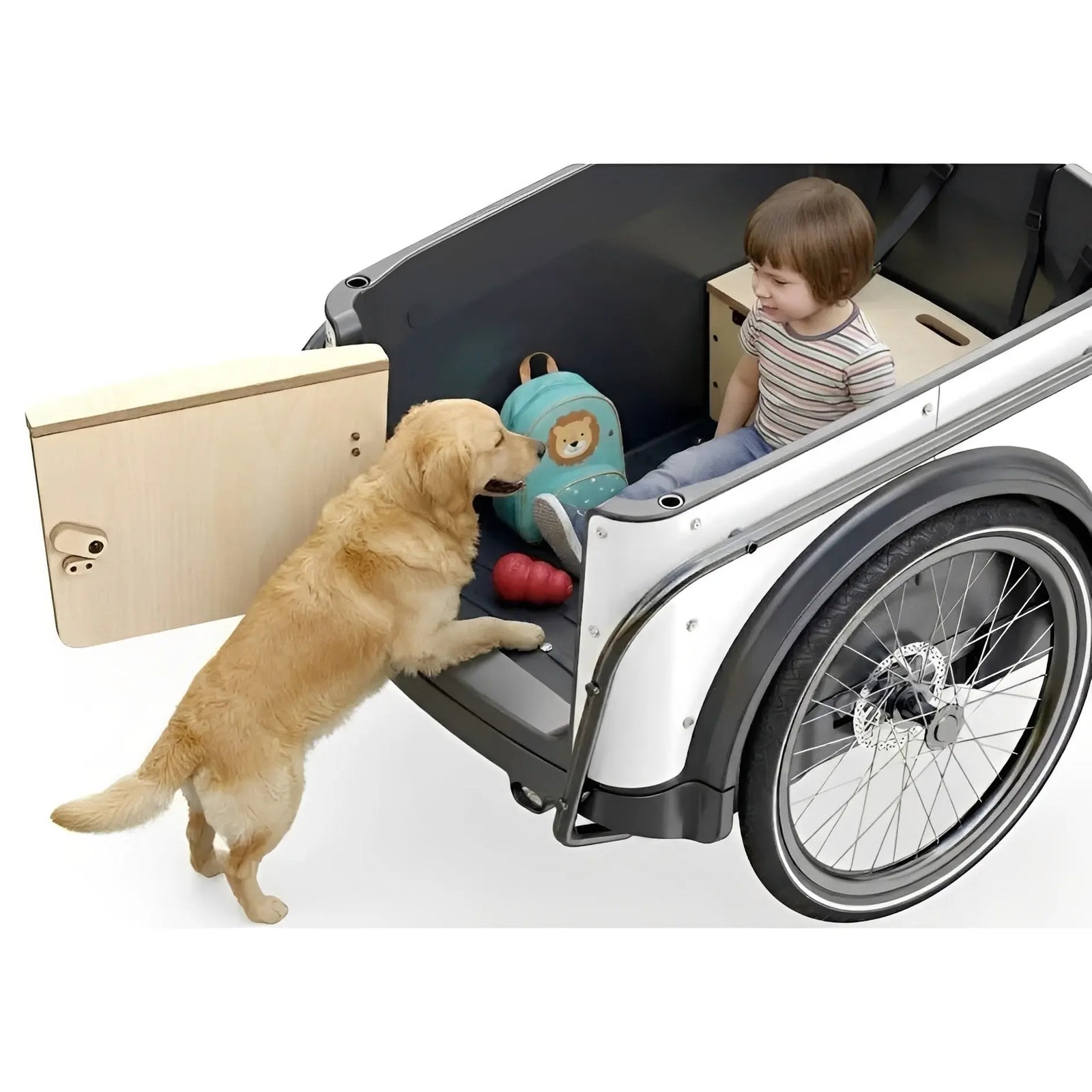 Royal Cargo Bike 3W Eco – Elektrische Bakfiets – Antraciet - 504Wh - AE-trading