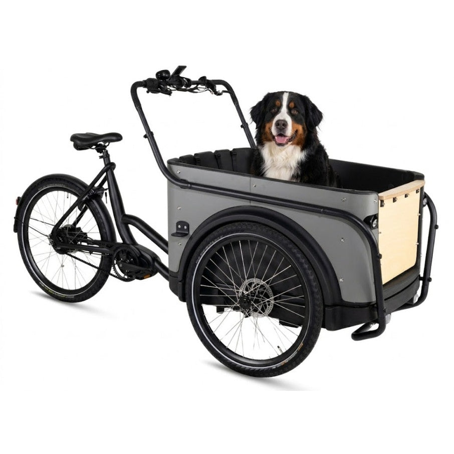 Royal Cargo Bike 3W Premium – Taupe – Elektrische Bakfiets – 504Wh - AE-trading