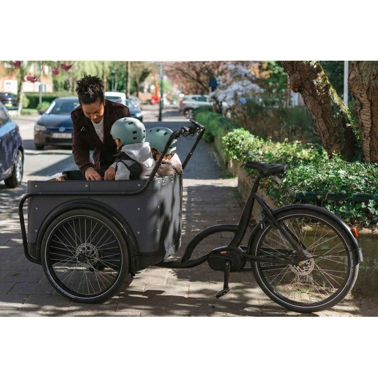 Royal Cargo Bike 3W Premium – Taupe – Elektrische Bakfiets – 504Wh - AE-trading