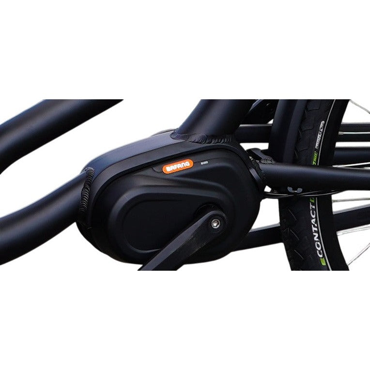 Royal Cargo Bike 3W Premium – Antraciet – Elektrische Bakfiets – 504Wh - AE-trading