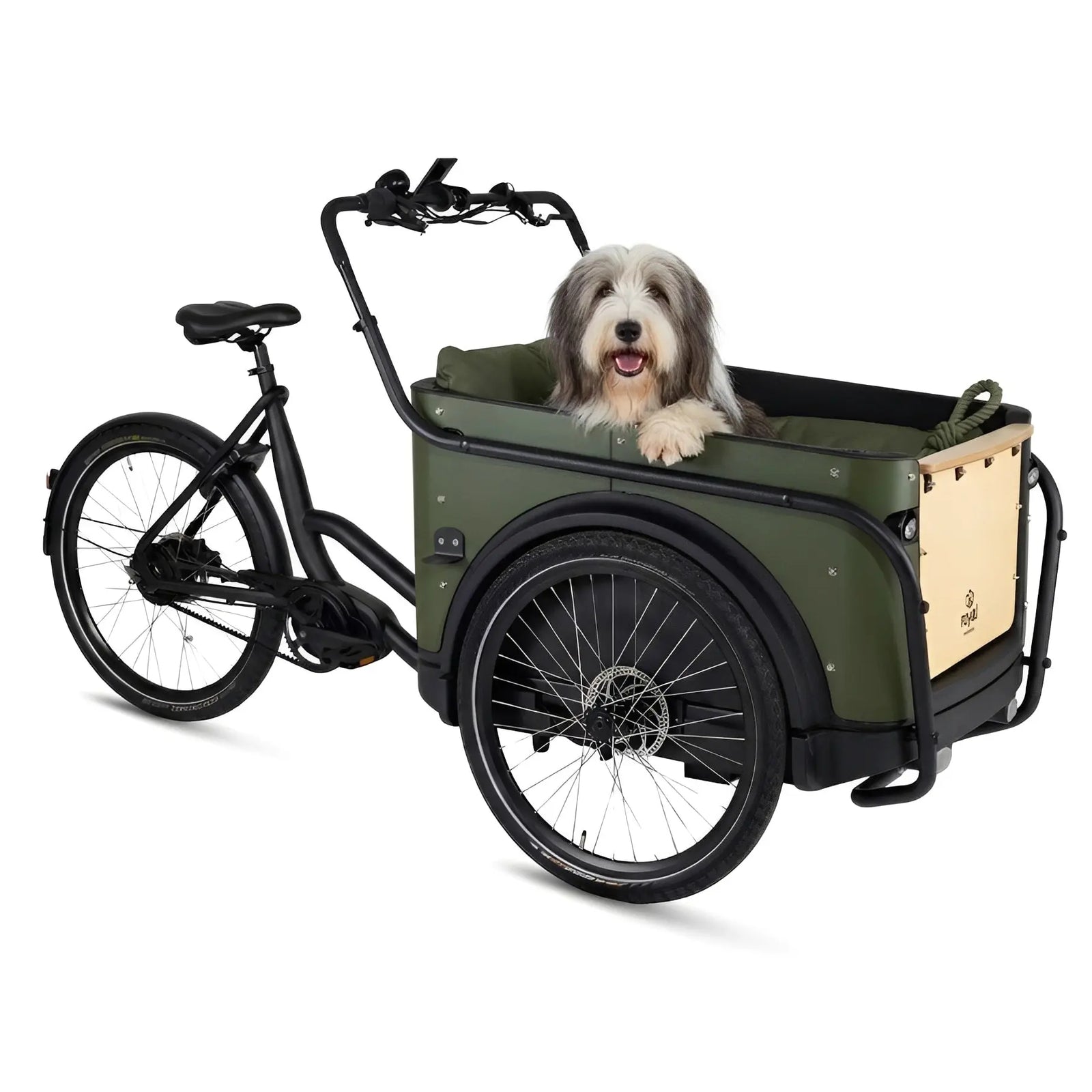 Royal Cargo Bike 3W Premium – Elektrische Bakfiets - Groen – 630Wh - AE-trading