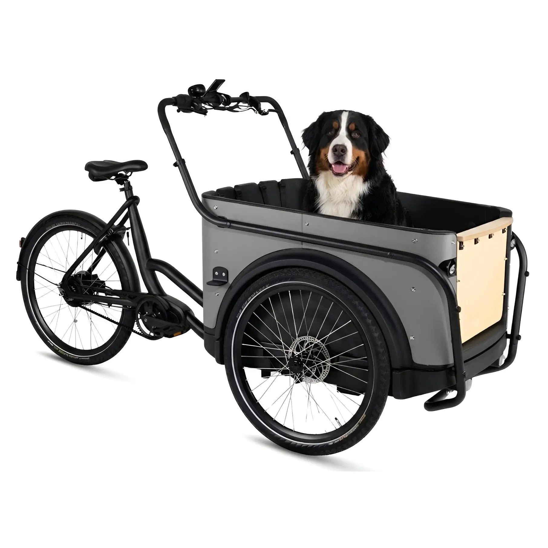 Royal Cargo Bike 3W Premium – Taupe – Elektrische Bakfiets – 504Wh - AE-trading