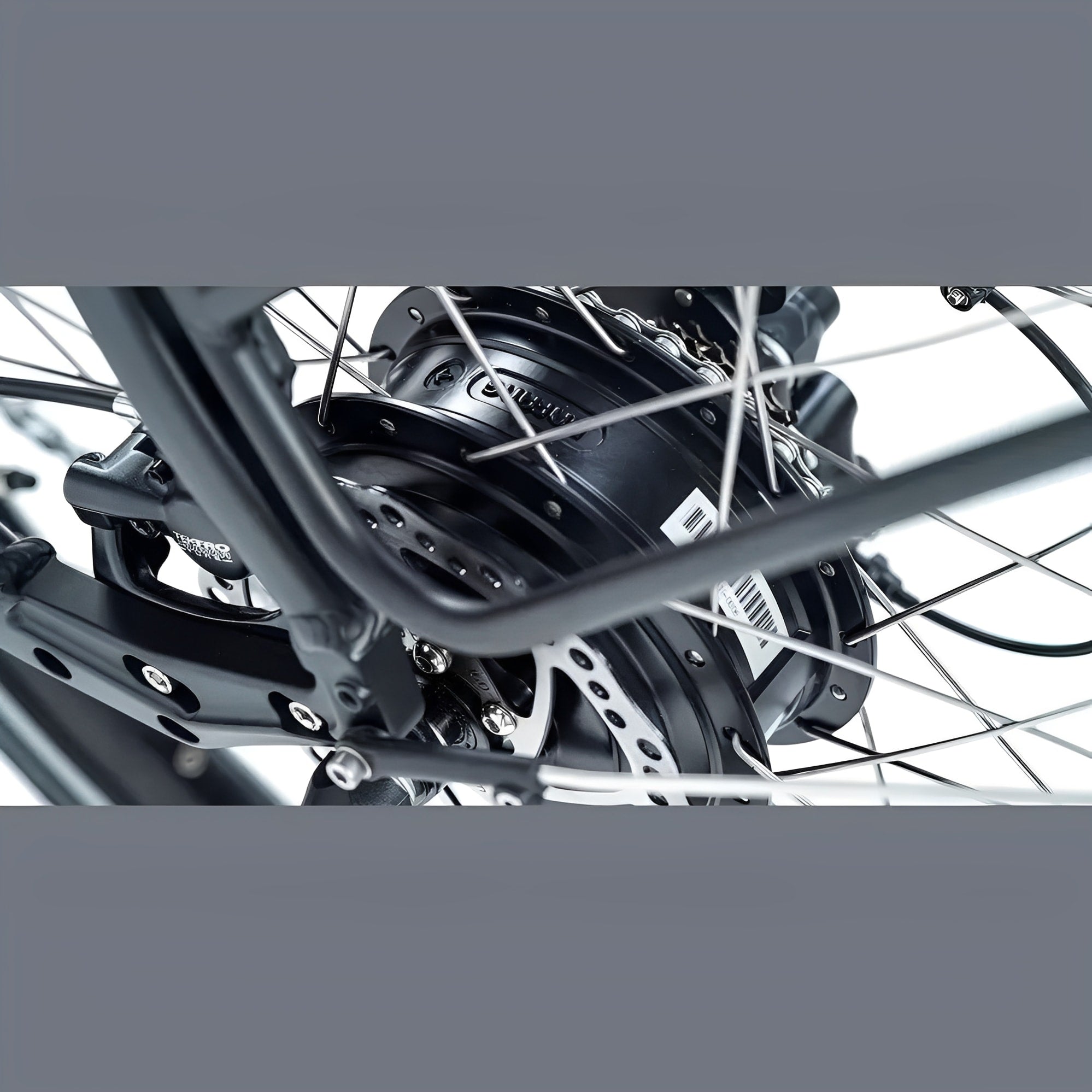 Royal Cargo Bike 3W Eco – Taupe – Elektrische Bakfiets – 504Wh - AE-trading