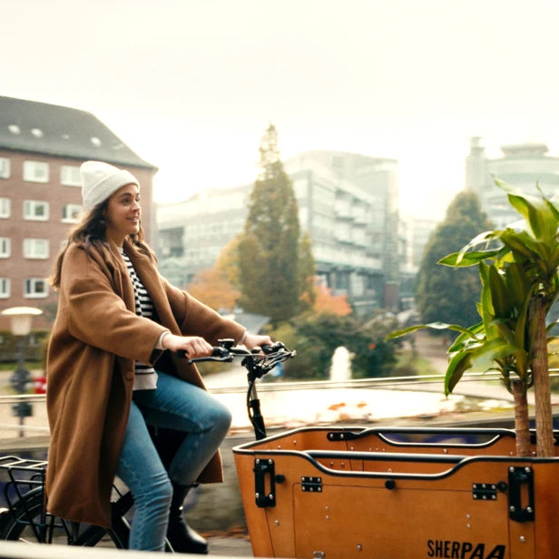 Sherpaa Cargo Elektrische Bakfiets – Bruin Zwart - AE-trading